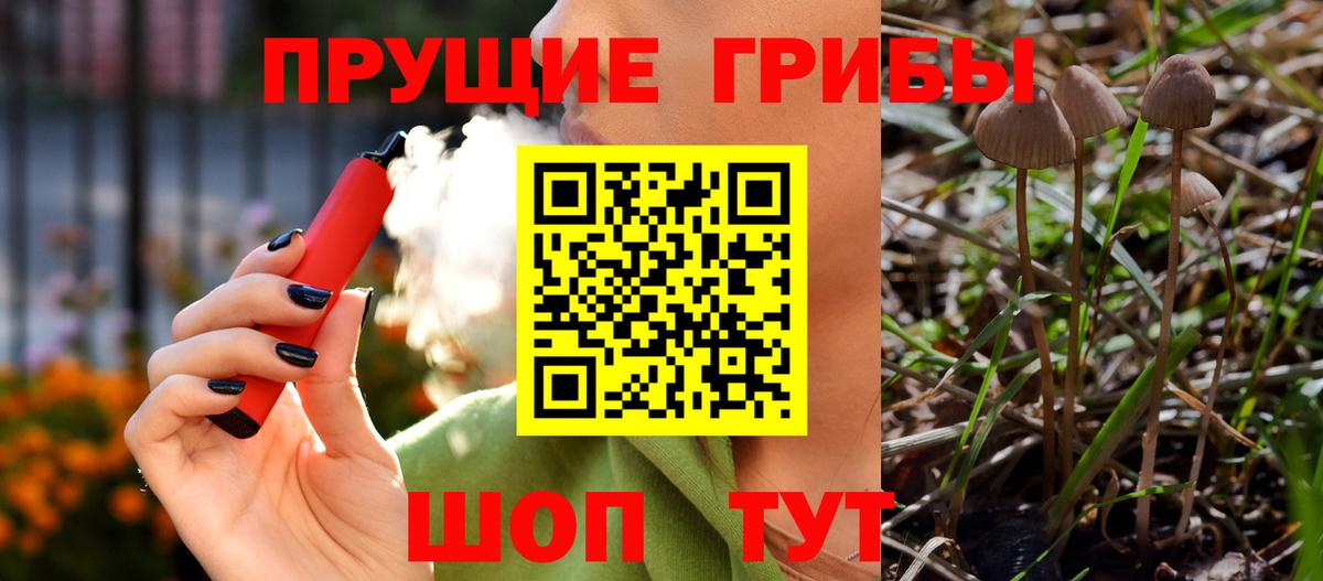 купить наркоту  Галлюциногенные грибы Cubensis  Вход с VPN  Красногорск  Псилоцибиновые грибы мухоморы 